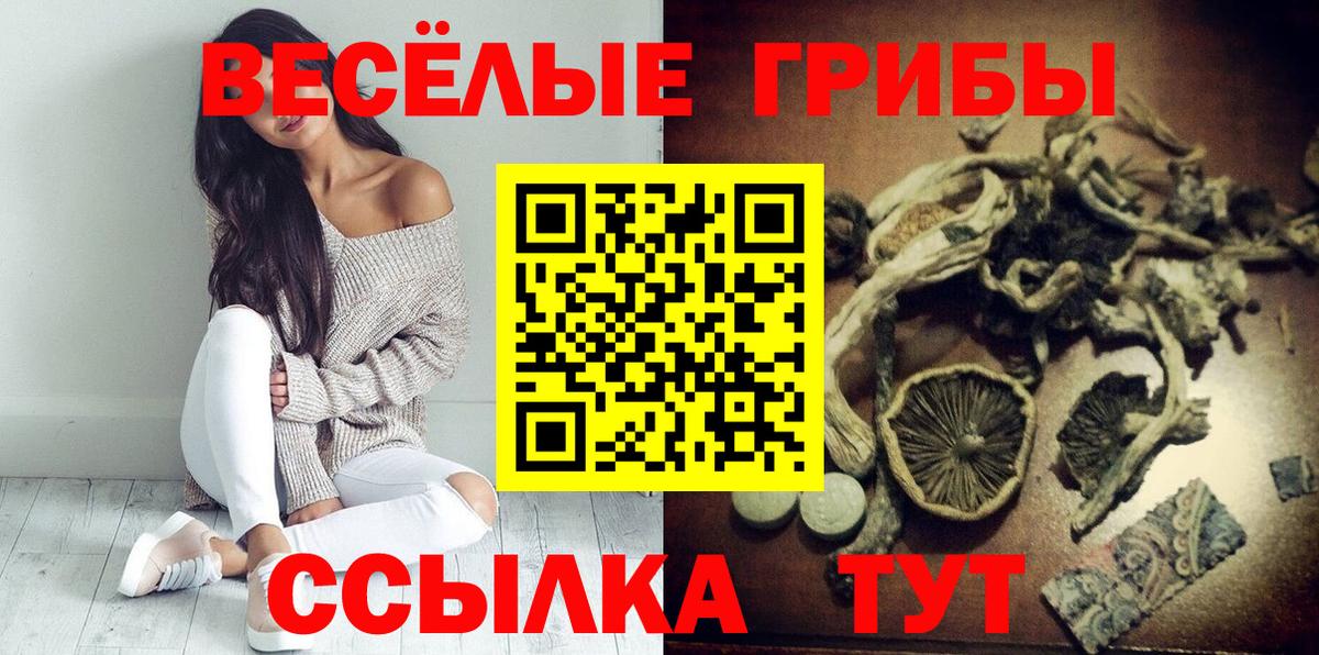 Галлюциногенные грибы Magic Shrooms Тула